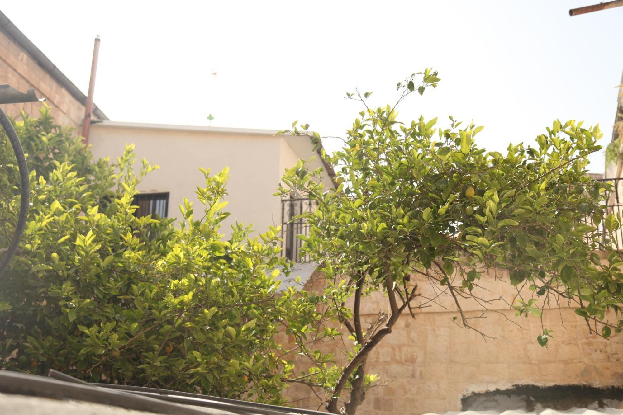 Habira Apartments エルサレム エクステリア 写真